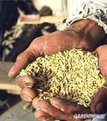 Crecimiento e industrialización