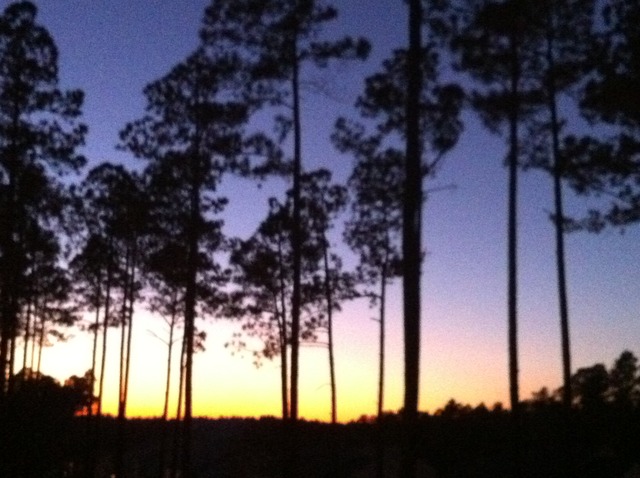 The family Vacation to Italy.