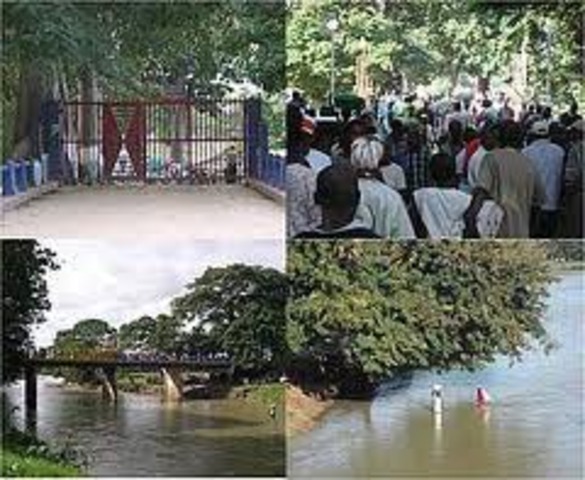 Crecimiento e industrialización