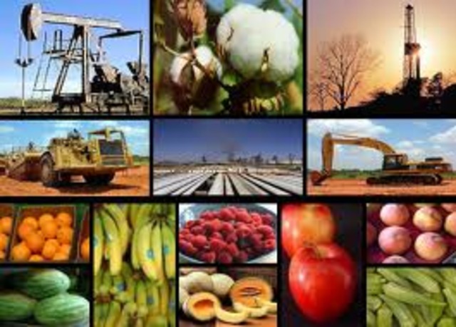 Crecimiento e industrialización