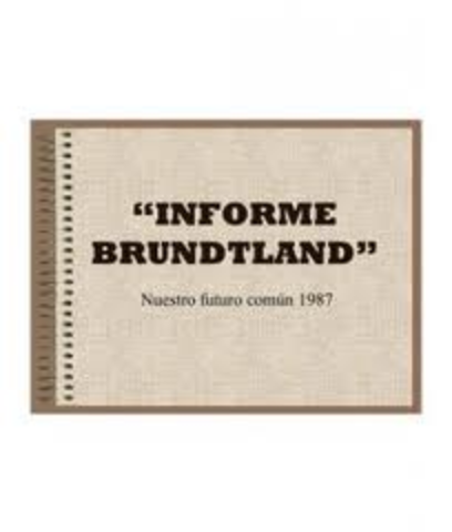 Informe Brundthand