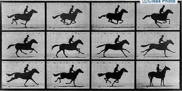 The first action photos