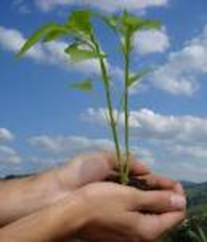 1ª conferencia de la ONU sobre el Habitat Humano, Vancouver Canadá