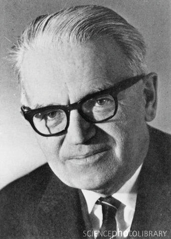 Rsponsabilidad en las tareas