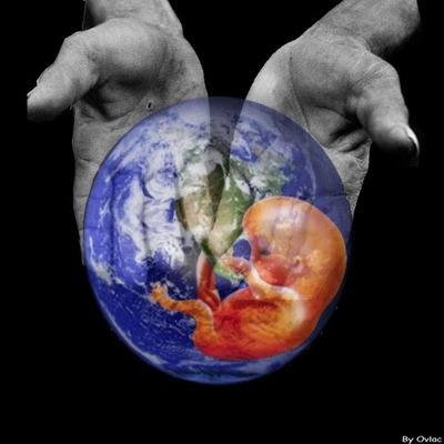 Timeline: antecedentes de la sustentabilidad