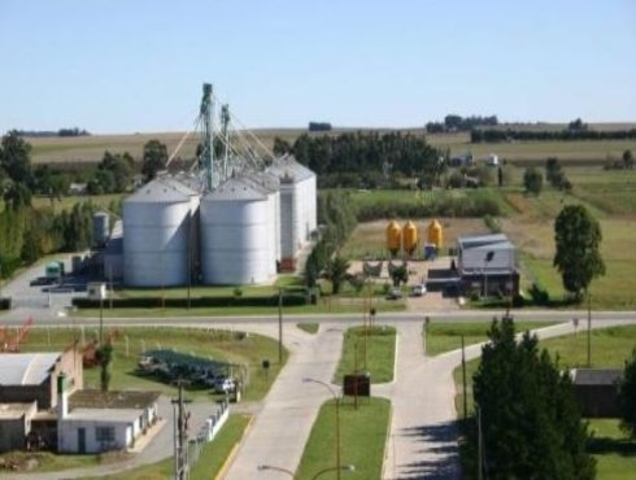 crecimiento e industrializacion