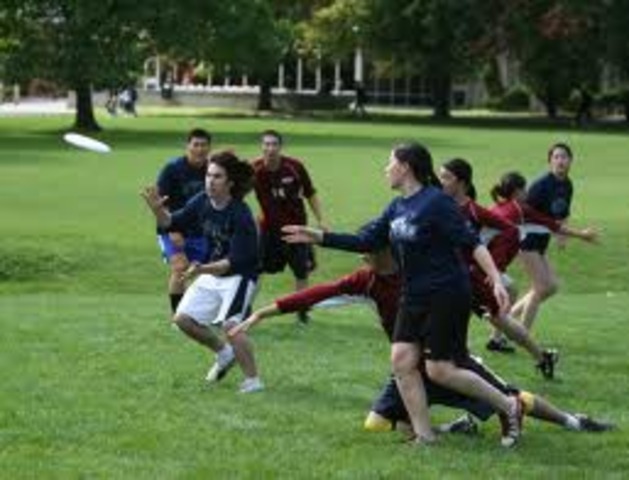 Ultimate Frisbee Championships!