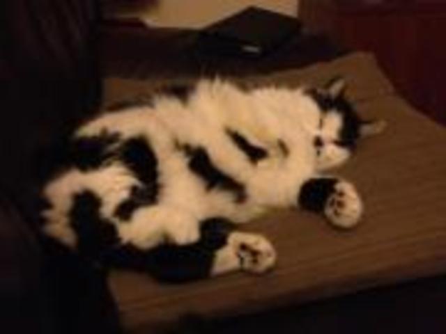 Sweet Sweet Sara says F*CK