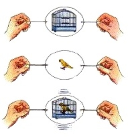 Invention of Thaumatrope