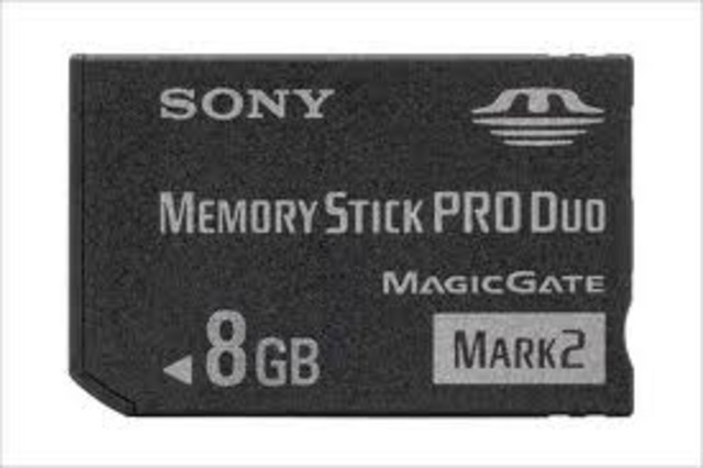 Memory stick