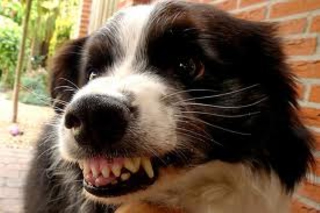 First trip to the E.R