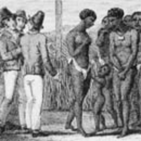 Slaves introduced to Jamestown