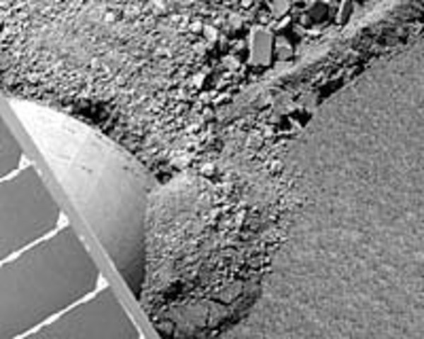 Made its first movements to escape from the sand dune