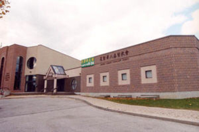 Volunteering - Day Camp