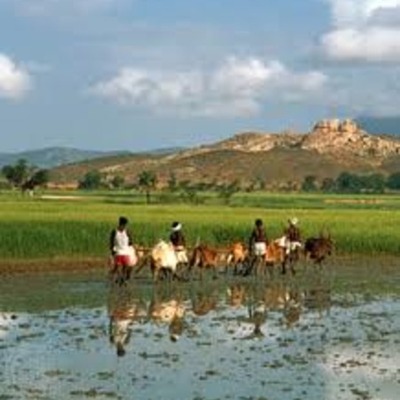 Timeline: Indian Timeline