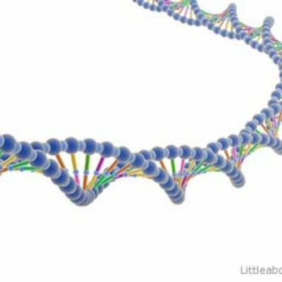 Timeline: History of DNA