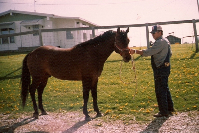Grandpa and Handyman