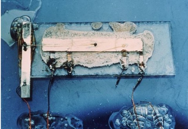 El primer circuito integrado fue desarrollado en 1959