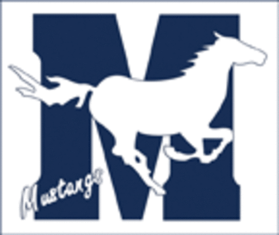 My first year at Meadows