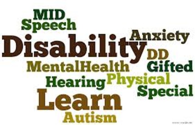 Individuals with Disabilities Act (IDEA)