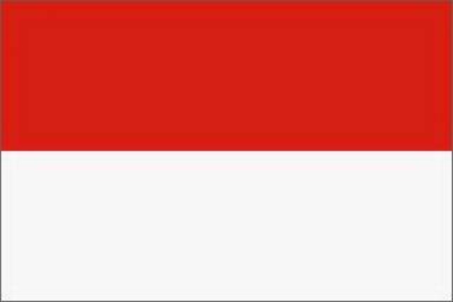 I was born(in Indonesia)