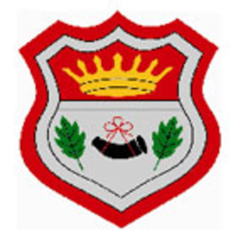 I started primary school