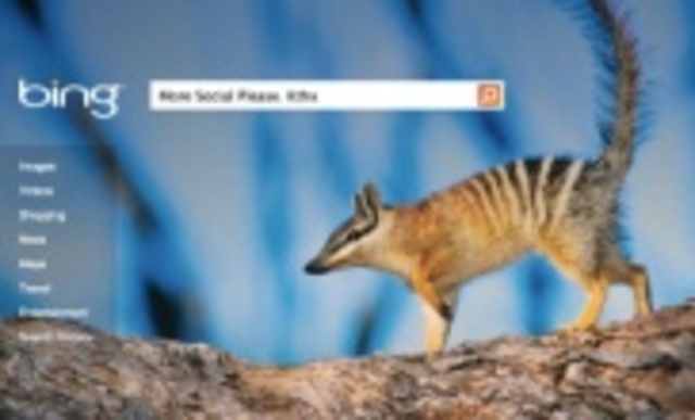 Microsoft launches the Bing search engine June 3, 2009