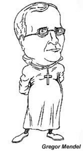 Dna was  first discovered