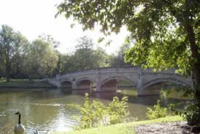 Murder of Shirley Cook