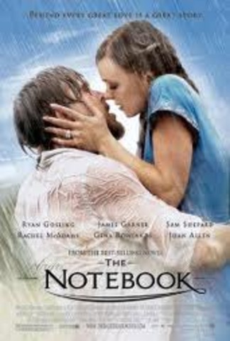 Nicholas Sparks is now my favorite author. My favorite book is the Notebook.