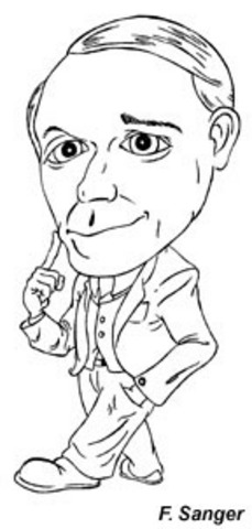 Developed Sequencing