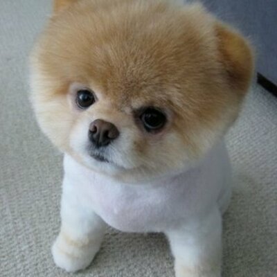 Timeline: Ancient Greece