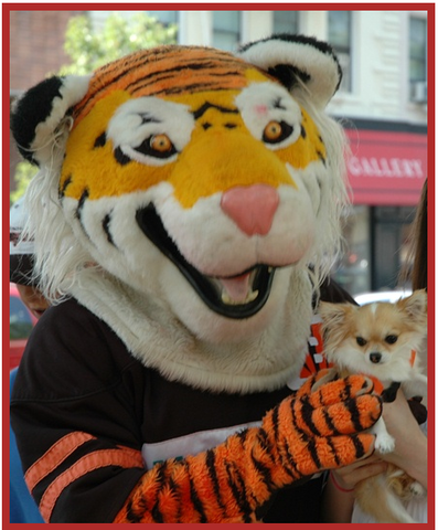 End of Mycenean age and civilisation. Early city states are ruled through monarchy