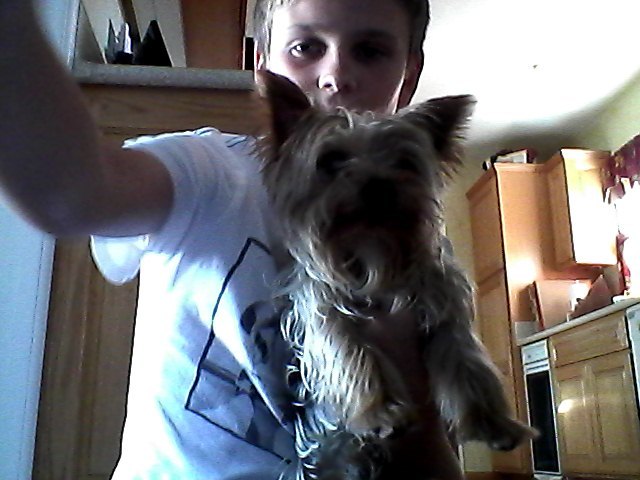 I got my dog Brody for Christmas