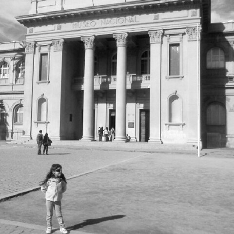 Primeros estudios de públicos en museos chilenos