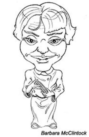 Awarded the Nobel Peace Prize