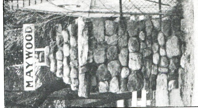 Created 6 stone statues around Maywood