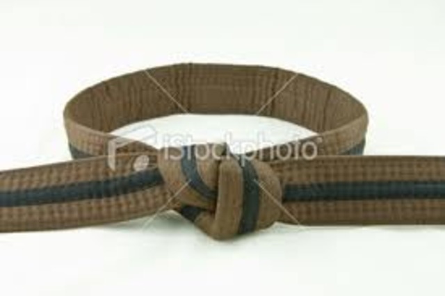 Tested for my 3rd Degree Brown belt