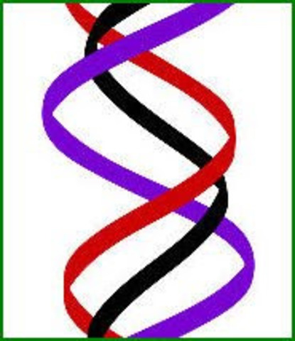 Triple-stranded helix