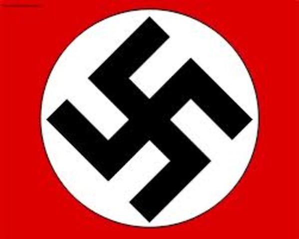 Hitler rises to power in the nazi party