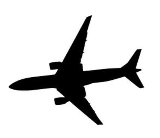 Marina moves to America