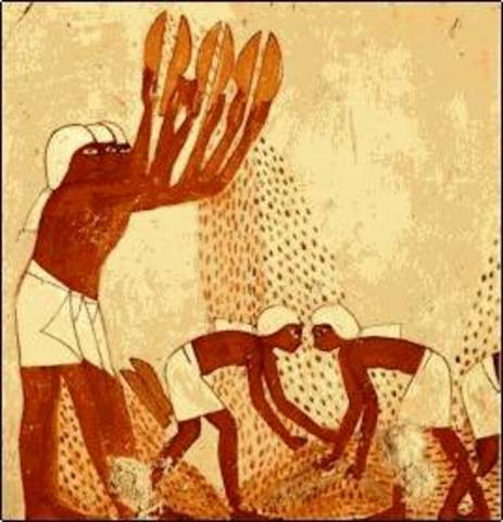 mesopotamia agriculture livestock (800 a.c)