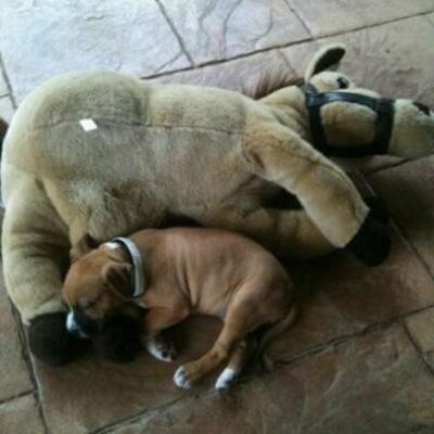 Timeline: OLIVIA & LAUREN