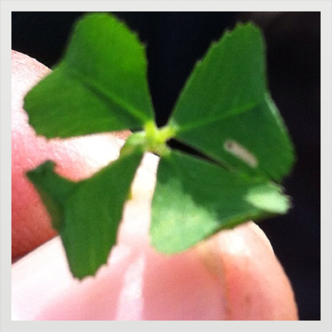 Allison Decker Marries Robert Clarke