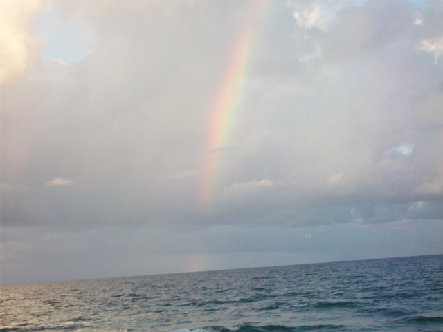 Robert, Catherine, Meghan, David Clarke, immragate to America.