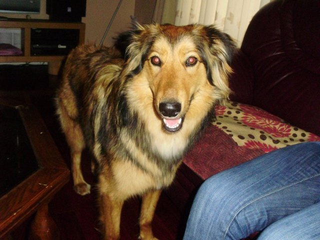 We had to Give Mocha Away