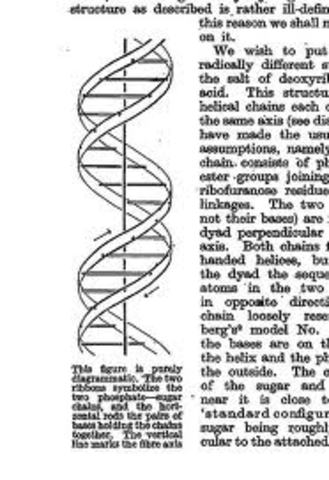 Article Watson & Crick