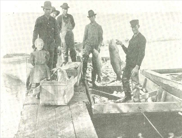 Removal of Rough Fish