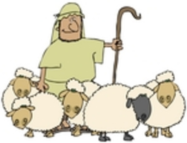 workes as a young shepherd