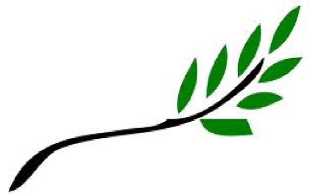 Olive Branch Petition